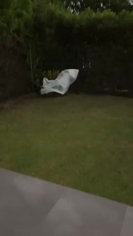 The video shows a white cloth or bag blowing in the wind against a backdrop of trees and a cloudy sky at dusk. The camera is moving, giving a sense of motion to the scene. The cloth appears to be caught on something or to be intentionally placed high up in the trees. The environment appears to be a backyard or garden area with grass and some foliage.