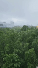 Morning snapshots capture everyday Moscow life on cloudy spring day
