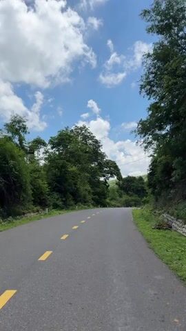 The video is a first-person perspective of a person riding a bicycle on a paved road surrounded by lush green trees and vegetation. The road has yellow dashed lines marking the lanes. The sky is blue with fluffy white clouds. The person is moving forward, and the scenery of the road and the trees is passing by. The video appears to be shot during the daytime.