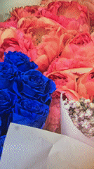 Moscow florist shop features diverse flowers and fresh strawberries