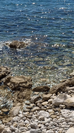 Woman documents spring wisteria blooms in historic Budva courtyard