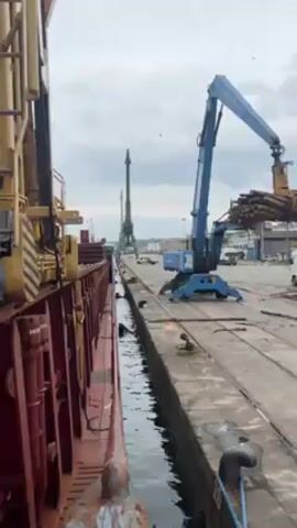 The video shows the loading of logs onto a cargo ship at a port. A large blue crane is loading bundles of logs from the dock onto the ship's deck. The ship is painted with red and yellow. On the dock, several tractor-trailer trucks are carrying more bundles of logs. The sky is overcast. In the background are some buildings and a smaller, older port crane.
