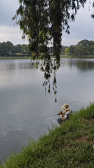 Fishing and horseback scene observed at Da Lat lake