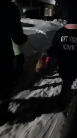 In the nighttime video, the scene depicts three individuals walking outdoors on a snowy path, presumably near a house illuminated by an interior light. Two of the figures appear to be children. One child wears a jacket with the phrase "GET YOUR ICONIC" on the back and is walking a dog. The second child is in a light green jacket and seems to be pulling something along the ground. The third person is an adult in a dark coat. The scene is lit by a combination of streetlights and light emanating from the house.