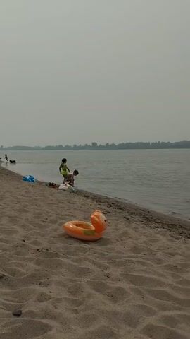 The video shows a sandy beach on the edge of a wide, calm body of water. The sky is overcast, creating a hazy, muted light. In the foreground, an orange inflatable duck toy rests on the sand. Further down the beach, two children are playing near the water's edge. One child, wearing a green shirt and shorts, appears to be running or jumping. Another child, wearing a blue shirt and shorts, is kneeling or bending down. To the right of the children, two fishing rods are planted in the sand, with their lines extending into the water. The distant shoreline is lined with trees. The video is a brief, static shot of this beach scene.