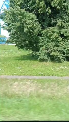 The video shows a light blue building with blue domes and roofs, resembling a church, with a green grassy area in front of it. A dark object, possibly a car window frame, partially obstructs the view on the right side of the screen. The sky is visible in the background, with some clouds. The camera appears to be moving, as indicated by the slight blurring of the foreground.