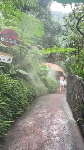 The video shows a misty, jungle-like environment with lush green ferns and trees. A paved pathway winds through the vegetation. A woman in a white dress walks away from the camera down the path. To the left, there are two signs: one with the Jurassic Park logo and Chinese characters, and another with a "Warning: Dinosaur Area" message and silhouettes of dinosaurs. To the right of the path, a large, broken eggshell-like structure is visible, with mist emanating from it. A dinosaur figure is positioned near the eggshell, and another dinosaur figure is visible in the background, partially obscured by foliage. The overall atmosphere is that of a themed attraction designed to resemble a prehistoric landscape.