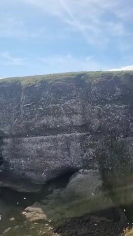 The video shows a panoramic view of a coastal cliff face. The cliff is steep and rocky, with patches of green vegetation on the top. The sea below is a deep blue-green, with waves gently lapping against the base of the cliffs. Numerous seabirds are seen flying around the cliffs and nesting on ledges. Several large rocks are visible in the water near the shore. The sky is blue with a few scattered white clouds. The camera pans slowly across the scene, offering a sweeping view of the dramatic coastal landscape and the abundant birdlife.