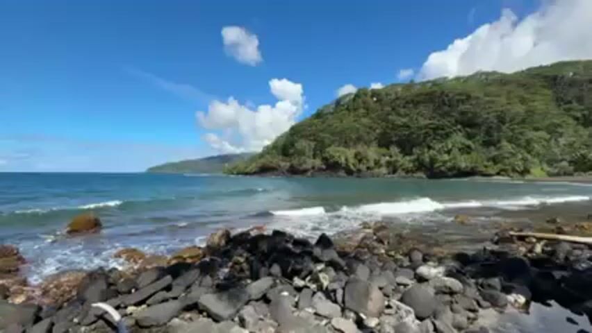 The video depicts a rocky shoreline under a bright blue sky with scattered white clouds. The waves are gently breaking on the shore, and the ocean extends to the horizon. Lush green vegetation covers a landmass in the background. The foreground is dominated by black volcanic rocks of varying sizes. A piece of driftwood lays on the rocks near the right side of the frame.
