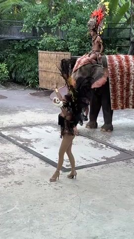 A performer in a sequined leotard and large feather headdress dances in front of an elephant decorated with a patterned blanket. A person in a similar headdress sits atop the elephant. The scene appears to be an outdoor performance or parade.