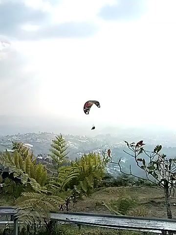 A paraglider is seen soaring through the sky over a town. The paraglider, with a black and red canopy, is suspended by lines from a parachute-like wing. The person piloting the paraglider is a small silhouette beneath the wing. The scene is framed by lush green foliage in the foreground, with ferns and branches visible. The background shows a hazy landscape of buildings and hills, suggesting a mountainous or elevated terrain. The sky is partly cloudy, with the sun breaking through the clouds, casting a bright light. The overall atmosphere is one of outdoor recreation and adventure.