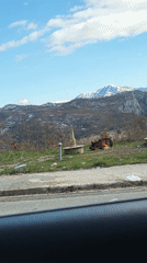 German Shepherd rests by roadside bench in Montenegro mountains