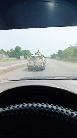 The video shows the view from inside a moving car, following another car. The car in front is heavily modified, appearing to be a white station wagon with the top and rear section cut away. A man is sitting on the vehicle's roof, and two white cattle with large horns are inside the vehicle. The road is paved and has multiple lanes. There are trees and buildings in the background.