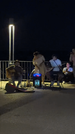 Live music and evening strolls on the Konyaaltı waterfront