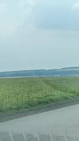 A car drives down a paved road bordered by a green field. The sky is cloudy. The field appears to be a crop of corn. The road curves slightly to the right in the distance.