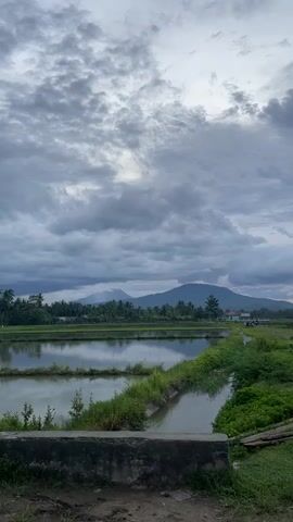 A still, vertical-format video displays a natural landscape under a cloudy sky. In the foreground, a low concrete wall runs horizontally across the bottom of the frame. Behind the wall, a body of water, possibly a pond or flooded field, is visible, reflecting the sky and surrounding greenery. The water is divided by earthen berms or narrow pathways lined with grass and vegetation. Further in the background, a line of trees and foliage forms a mid-ground, beyond which a range of mountains rises. The sky is filled with heavy, grey clouds, with some lighter patches suggesting the presence of the sun, though it is not directly visible. The overall impression is one of a serene, possibly rural, environment on an overcast day. There are no people or animals visible in the video.