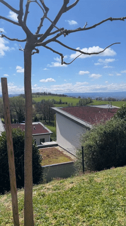 Woman documents quiet Saturday morning routine in French countryside