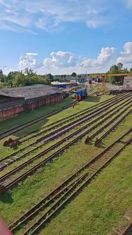 A wide shot shows a train yard under a partly cloudy sky. Multiple parallel train tracks extend into the foreground, covered in grass between the rails. In the middle ground, a blue train engine is positioned on a track next to a long, low, red-brick building with a corrugated metal roof. A single person in an orange vest stands on the ground near the train. Beyond the train and building, there are more structures, including a yellow gantry crane and several smaller buildings. Trees and foliage are visible in the background.