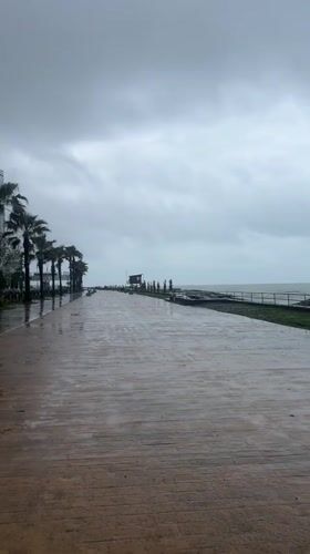 Overcast morning captured along Batumi's palm-lined waterfront boardwalk