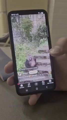 A hand is holding a smartphone. The screen of the smartphone displays a video of a monkey. The monkey is sitting on a path with foliage in the background. The monkey appears to be smiling. The video has a caption that reads "With her signature smile". There are icons and text overlaying the video, suggesting it is from a social media platform. The time on the phone's status bar reads "23:12".