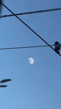 Crescent moon over a sun-lit city on a clear afternoon