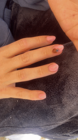 Quiet garden moments captured in Reigate afternoon