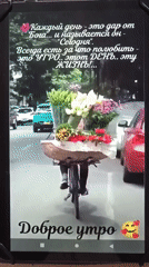 Flower-laden bicycle and a good-morning moment in Nizhnekamsk