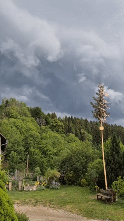 Rural scenes and portrait captured in Frohnleiten, Austria