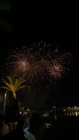 The video captures a nighttime scene with fireworks exploding in the sky. A crowd of people are gathered, silhouetted against the light of the fireworks, looking up at the display. In the foreground, a woman with long blonde hair is visible from the back, wearing a dark dress. To her left, a palm tree is illuminated by the light. In the background, a body of water reflects the lights of distant buildings. The overall atmosphere suggests a festive occasion or celebration.