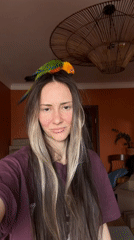 Child and Sun Conure parrot interact in Khimki home