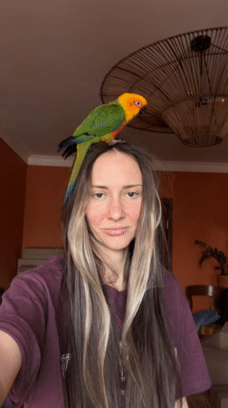 Child and Sun Conure parrot interact in Khimki home