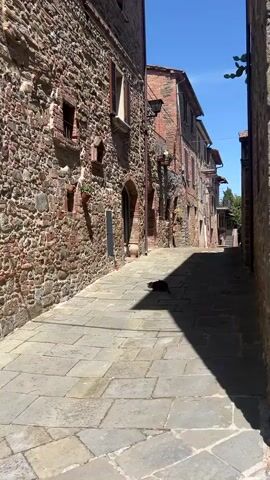 The video shows a narrow cobblestone street in a European town. The street is lined with old stone buildings, some with arched doorways and windows. A black cat walks down the street and then stops and sits in a patch of sunlight. The buildings are made of reddish-brown stone, and some have flowers or plants in pots hanging from the windows. The sky is blue, and the sun is shining.