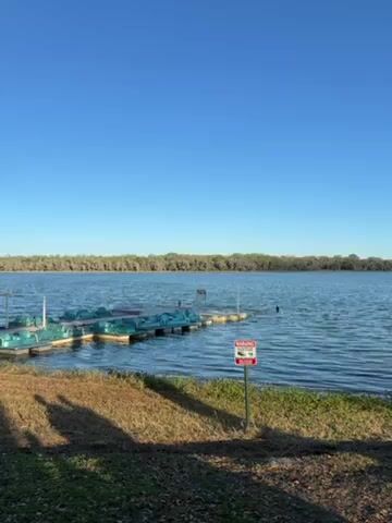 The video shows a lake scene with a dock and several paddle boats. There are trees along the shoreline and a blue sky. A few seconds into the video, the camera pans to the right and shows a group of people gathered around a picnic table. Some of the people are standing and some are sitting. They appear to be talking and interacting with each other. The setting appears to be outdoors, near a lake. The lighting is bright and the overall atmosphere is casual.