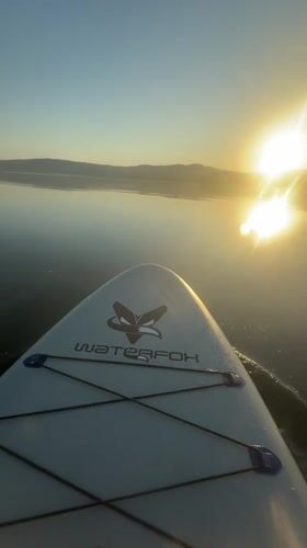 Paddleboard with fox logo spotted at Russian beach