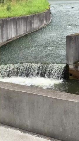 The video shows a dam with water flowing over it. The dam is made of concrete and is surrounded by green grass and trees. The sky is cloudy. There are no people or animals visible in the video. The water appears to be flowing at a moderate pace, and there is some white foam at the base of the dam, indicating the water is falling from a height.