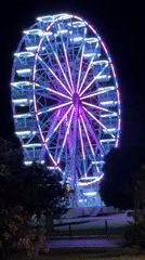 Nighttime scenes documented across Budva, Montenegro showing Ferris wheel, taxis