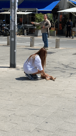 Morning slice of life captured across Tel Aviv neighborhoods