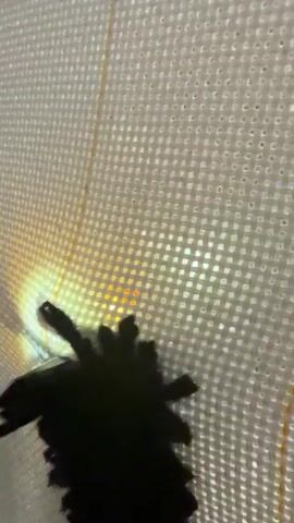 A close-up, dark silhouette of a spiky object is visible against a textured white background. A bright, yellow light source illuminates the object from the left, casting shadows and highlighting the spiky protrusions. The object appears to be in motion or being manipulated, as suggested by the slight blurring and changes in the shadow details between frames. The white background has a grid-like pattern.