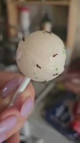 In this close-up video, a hand with light purple nail polish holds a white lollipop with green sprinkles. Several ants are crawling on the surface of the lollipop, some are gathered in a cluster. The background is blurred, but appears to be an indoor setting, possibly a kitchen, with shelves and various items visible. The lighting suggests it is daytime. The overall tone is one of mild disgust or surprise due to the presence of ants on the food item. There is no visible text in the video.