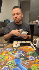 Board game session observed at Krasnoyarsk home with pet