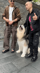 Two men pose with Alaskan Malamute on street in Chengdu