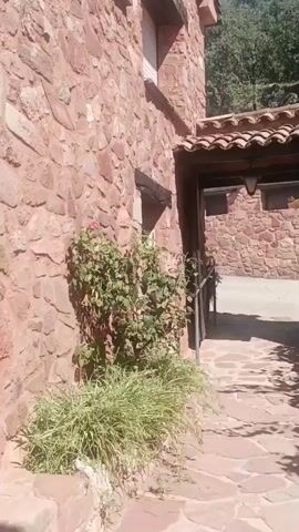 The video pans across an outdoor patio area of a rustic stone building. The stone walls are a reddish-brown hue. The patio is paved with irregular flat stones. To the left, a building wall with a window is visible. Green foliage, including a vine-covered pergola, shades part of the patio. Several wooden chairs and tables are scattered around the patio, suggesting an outdoor seating area. In the background, a forested hillside is visible under a bright blue sky. The scene is bathed in sunlight, creating dappled shadows on the patio.