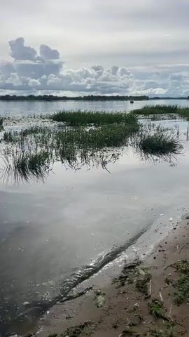 The video shows a wide shot of a body of water with a shoreline on the right. The water is calm and reflects the cloudy sky and the sun, which is partially obscured by clouds. Patches of green grass and reeds are growing in the shallow water near the shore. In the distance, there is a treeline on the opposite bank of the water. There appear to be two small figures in a boat on the water in the distance. The overall mood is peaceful and serene.