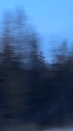 Moving vehicle captures blurred landscape with trees and mountains