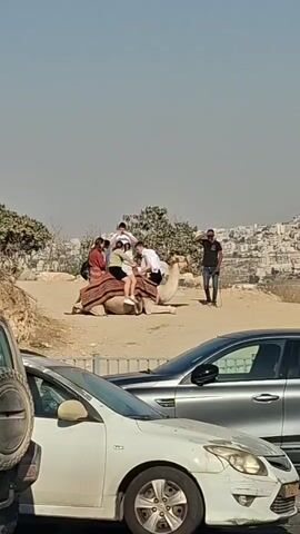 A camel is lying down on a dirt patch with several people on its back and around it. The people on the camel are a group of at least three, including two women and one man, with two children sitting on the camel’s hump. A man stands to the right of the camel, appearing to be its handler. In the foreground, two cars are parked. The white car on the left is partially visible, showing its front wheel. The grey car to its right is fully visible, parked behind the white car. Behind the camel and people, a city with buildings is visible on a hill under a hazy sky. The overall setting appears to be a scenic overlook or tourist attraction.