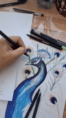 Artist creates vibrant peacock drawing in early morning Russia
