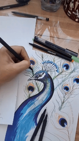 Artist creates vibrant peacock drawing in early morning Russia