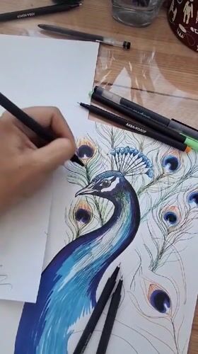 Artist creates vibrant peacock drawing in early morning Russia
