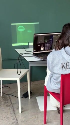 Person programs on laptop in Mexico City institutional setting