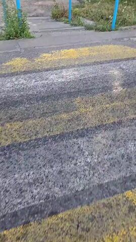 A first-person perspective video shows a person walking down a set of concrete stairs. There is a blue handrail on the right side of the stairs, and grass and weeds growing alongside it. A yellow and white painted crosswalk is visible on the pavement at the bottom of the stairs. The area appears to be outdoors, with trees and grass in the background.
